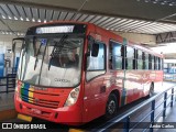 Borborema Imperial Transportes 318 na cidade de Recife, Pernambuco, Brasil, por Andre Carlos. Número da foto: #12722323.