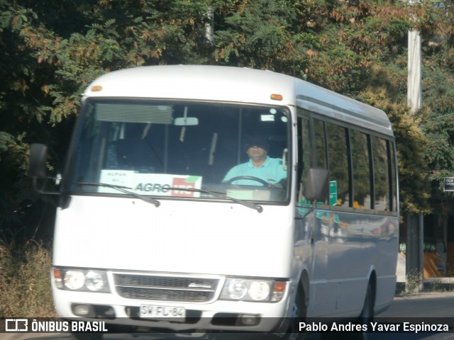 Autobuses sin identificación - Chile SWFL84 na cidade de Chépica, Colchagua, Libertador General Bernardo O'Higgins, Chile, por Pablo Andres Yavar Espinoza. Número da foto: #12725408.