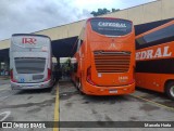 Catedral Turismo 24406 na cidade de Ribeirão Preto, São Paulo, Brasil, por Marcelo Horta. Número da foto: #:id.
