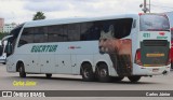 Eucatur - Empresa União Cascavel de Transportes e Turismo 4731 na cidade de Goiânia, Goiás, Brasil, por Carlos Júnior. Número da foto: #12724792.