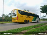 Empresa Gontijo de Transportes 19840 na cidade de Ipatinga, Minas Gerais, Brasil, por Celso ROTA381. Número da foto: #12722824.