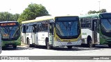 Viação Pioneira 233994 na cidade de Brasília, Distrito Federal, Brasil, por Jorge Oliveira. Número da foto: #:id.