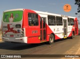 Itajaí Transportes Coletivos 2986 na cidade de Campinas, São Paulo, Brasil, por Wellington Lima. Número da foto: #12723217.
