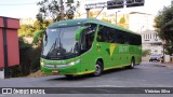 Pássaro Verde 1050 na cidade de Ponte Nova, Minas Gerais, Brasil, por Vinicius Silva. Número da foto: #12724315.