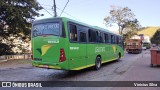 Pássaro Verde 15143 na cidade de Ponte Nova, Minas Gerais, Brasil, por Vinicius Silva. Número da foto: #12724330.