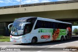 Eucatur - Empresa União Cascavel de Transportes e Turismo 4939 na cidade de Florianópolis, Santa Catarina, Brasil, por Rodrigo Barraza. Número da foto: #:id.