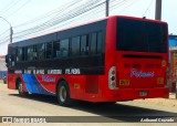 E.T. Palmari S.A. 843 na cidade de Carabayllo, Lima, Lima Metropolitana, Peru, por Anthonel Cruzado. Número da foto: #12725501.