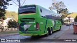 Pássaro Verde 11104 na cidade de Ponte Nova, Minas Gerais, Brasil, por Vinicius Silva. Número da foto: #12724336.