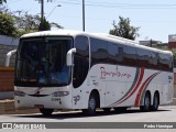 Paraibuna Transportes 25004 na cidade de Divinópolis, Minas Gerais, Brasil, por Pedro Henrique. Número da foto: #:id.