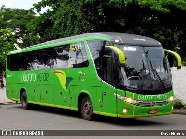 Pássaro Verde 1049 na cidade de Ponte Nova, Minas Gerais, Brasil, por Davi Neves. Número da foto: #12728632.