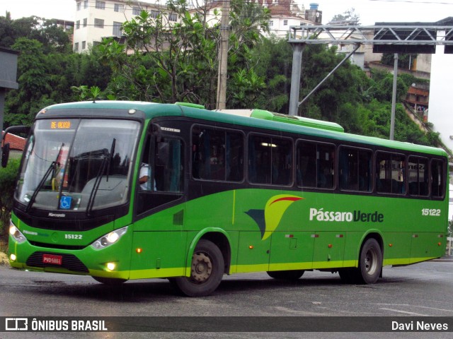 Pássaro Verde 15122 na cidade de Ponte Nova, Minas Gerais, Brasil, por Davi Neves. Número da foto: #12728648.