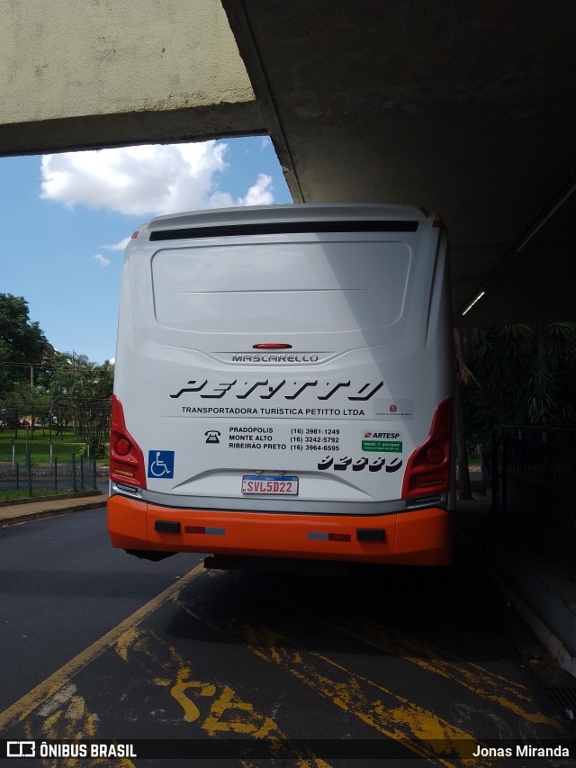 Transportadora Turística Petitto 92680 na cidade de Ribeirão Preto, São Paulo, Brasil, por Jonas Miranda. Número da foto: #12727542.