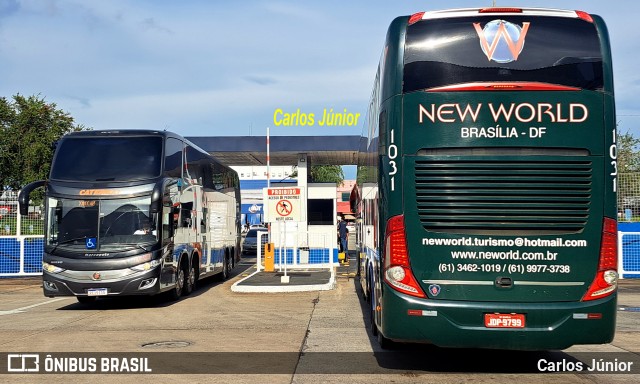 New World Turismo 1031 na cidade de Goiânia, Goiás, Brasil, por Carlos Júnior. Número da foto: #12728543.