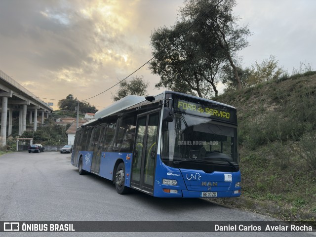 Auto Viação Feirense 586 na cidade de Vila Nova de Gaia, Porto, Portugal, por Daniel Carlos  Avelar Rocha. Número da foto: #12728455.