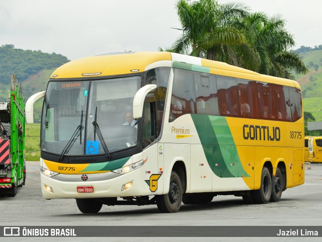 Empresa Gontijo de Transportes 18775 na cidade de Roseira, São Paulo, Brasil, por Jaziel Lima. Número da foto: #12728182.