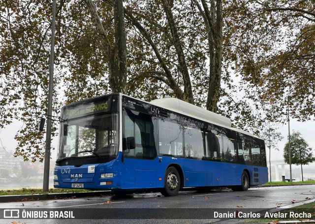Auto Viação Feirense 569 na cidade de Vila Nova de Gaia, Porto, Portugal, por Daniel Carlos  Avelar Rocha. Número da foto: #12728426.