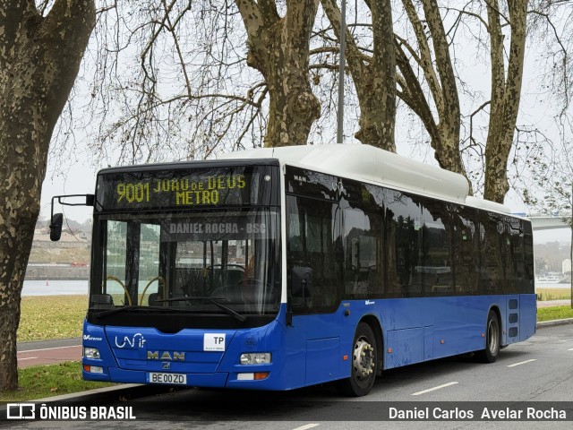 Auto Viação Feirense 586 na cidade de Vila Nova de Gaia, Porto, Portugal, por Daniel Carlos  Avelar Rocha. Número da foto: #12728460.