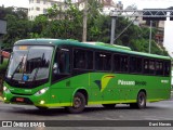 Pássaro Verde 15122 na cidade de Ponte Nova, Minas Gerais, Brasil, por Davi Neves. Número da foto: #12728648.