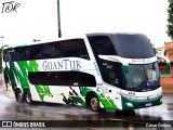 Aliança Turismo 3009 na cidade de Belo Horizonte, Minas Gerais, Brasil, por César Ônibus. Número da foto: #12726771.