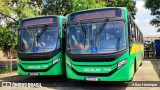 Transportes Capellini 32896 na cidade de Paulínia, São Paulo, Brasil, por Allan Henrique. Número da foto: #12727399.