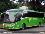 Pássaro Verde 19165 na cidade de Ponte Nova, Minas Gerais, Brasil, por Davi Neves. Número da foto: #12728651.
