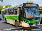 Viação Vera Cruz RJ 205.036 na cidade de Rio de Janeiro, Rio de Janeiro, Brasil, por Gabriel Petersen Gomes. Número da foto: #12728517.