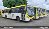 Viação Pioneira 229491 na cidade de Brasília, Distrito Federal, Brasil, por Vicente Barbosa. Número da foto: #:id.