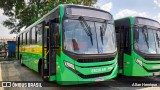 Transportes Capellini 32864 na cidade de Paulínia, São Paulo, Brasil, por Allan Henrique. Número da foto: #12727410.