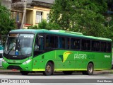 Pássaro Verde 15143 na cidade de Ponte Nova, Minas Gerais, Brasil, por Davi Neves. Número da foto: #12728642.