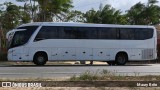 Transnogueira  na cidade de Augusto Corrêa, Pará, Brasil, por Maury Brito. Número da foto: #12726292.