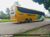 Empresa Gontijo de Transportes 19800 na cidade de Ipatinga, Minas Gerais, Brasil, por Celso ROTA381. Número da foto: #12726212.