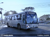 Araucária Transportes Coletivos 19L31 na cidade de Curitiba, Paraná, Brasil, por Paulobuss  Guaratuba. Número da foto: #:id.
