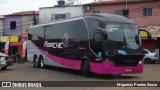Rosa Chic Turismo  na cidade de Santa Inês, Maranhão, Brasil, por Miqueias Pereira Sousa. Número da foto: #12729365.