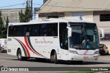 Paraibuna Transportes 20010 na cidade de Manhumirim, Minas Gerais, Brasil, por Lucas Oliveira. Número da foto: #12731423.
