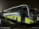 Turin Transportes 2465 na cidade de Conselheiro Lafaiete, Minas Gerais, Brasil, por Eduardo Vieira. Número da foto: #12729659.