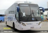 Viação Estrela 1410 na cidade de Goiânia, Goiás, Brasil, por Carlos Júnior. Número da foto: #12730049.
