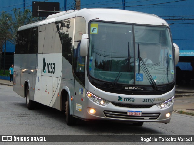 Rosa Turismo 23110 na cidade de São Paulo, São Paulo, Brasil, por Rogério Teixeira Varadi. Número da foto: #12734331.