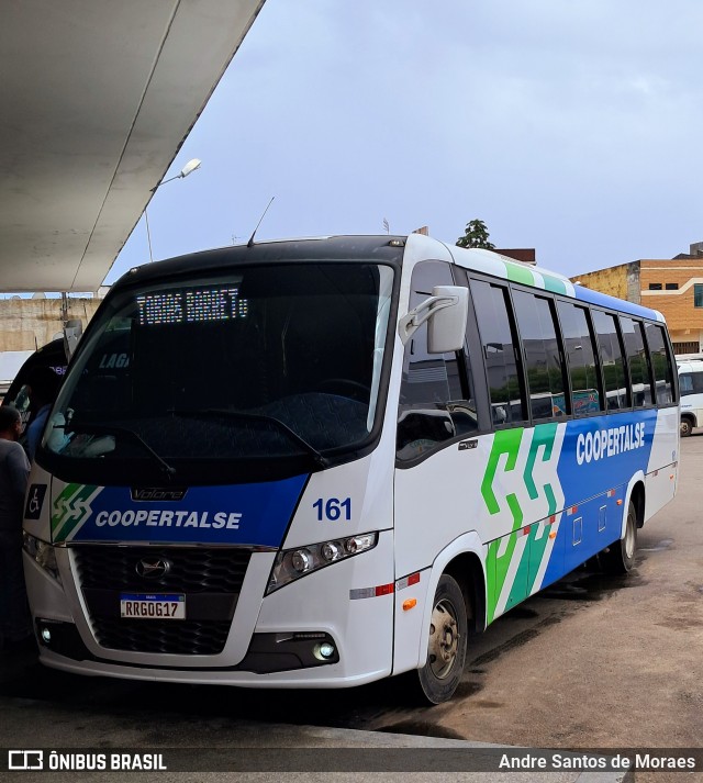 Coopertalse 161 na cidade de Lagarto, Sergipe, Brasil, por Andre Santos de Moraes. Número da foto: #12735549.