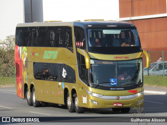 Eucatur - Empresa União Cascavel de Transportes e Turismo 5303 na cidade de Balneário Camboriú, Santa Catarina, Brasil, por Guilherme Alisson. Número da foto: #12735386.