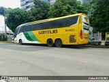 Empresa Gontijo de Transportes 19785 na cidade de Ipatinga, Minas Gerais, Brasil, por Celso ROTA381. Número da foto: #12735951.