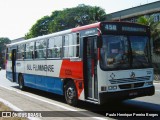 Viação Sul Fluminense 1226 na cidade de Volta Redonda, Rio de Janeiro, Brasil, por Paulo Henrique Pereira Borges. Número da foto: #12735126.