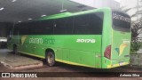 Pássaro Verde 20176 na cidade de Barão de Cocais, Minas Gerais, Brasil, por Antonio Silva. Número da foto: #12734149.
