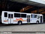 Viação Agulhas Negras RJ 169.033 na cidade de Volta Redonda, Rio de Janeiro, Brasil, por Guilherme Afonso. Número da foto: #12736004.