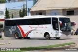 Paraibuna Transportes 20042 na cidade de Manhumirim, Minas Gerais, Brasil, por Lucas Oliveira. Número da foto: #12734152.