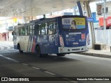 Transportes Capellini 19.221 na cidade de Americana, São Paulo, Brasil, por Fernando Félix Ferreira Lima. Número da foto: #12736609.
