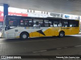 Sancetur - Sou Americana 24136 na cidade de Americana, São Paulo, Brasil, por Fernando Félix Ferreira Lima. Número da foto: #12738792.