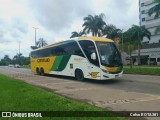Empresa Gontijo de Transportes 19835 na cidade de Ipatinga, Minas Gerais, Brasil, por Celso ROTA381. Número da foto: #12739399.