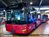 Foton Motor  na cidade de Álvaro Obregón, Ciudad de México, México, por Adrian O. Galvan. Número da foto: #12738633.