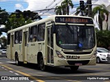 Araucária Transportes Coletivos 19M02 na cidade de Curitiba, Paraná, Brasil, por Hipólito Rodrigues. Número da foto: #:id.