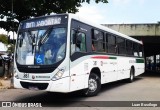 Borborema Imperial Transportes 381 na cidade de Jaboatão dos Guararapes, Pernambuco, Brasil, por Luan Busólogo. Número da foto: #:id.